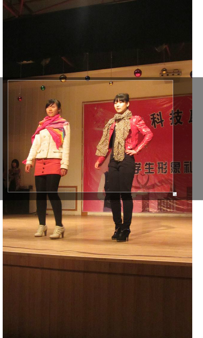 丝巾秀B